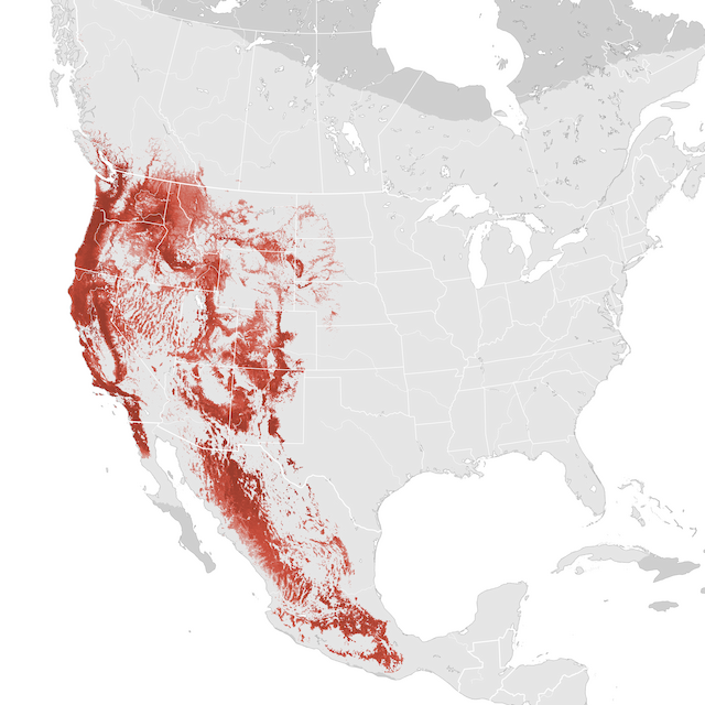 Abundance Map