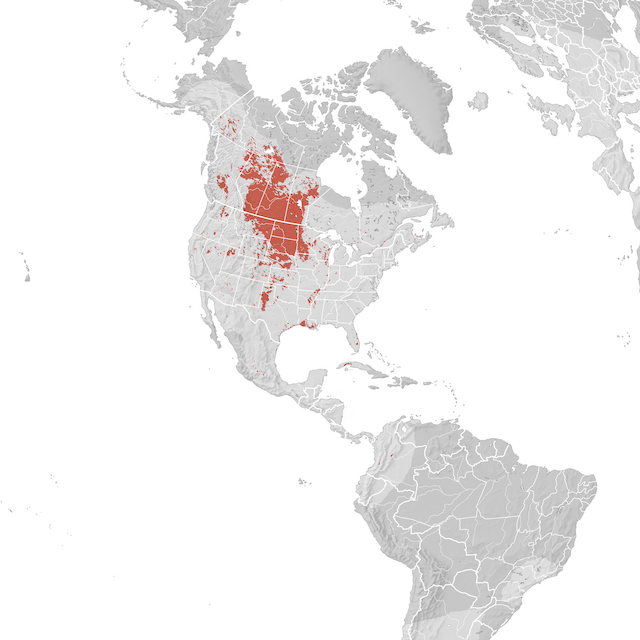 Mapa de Distribuição