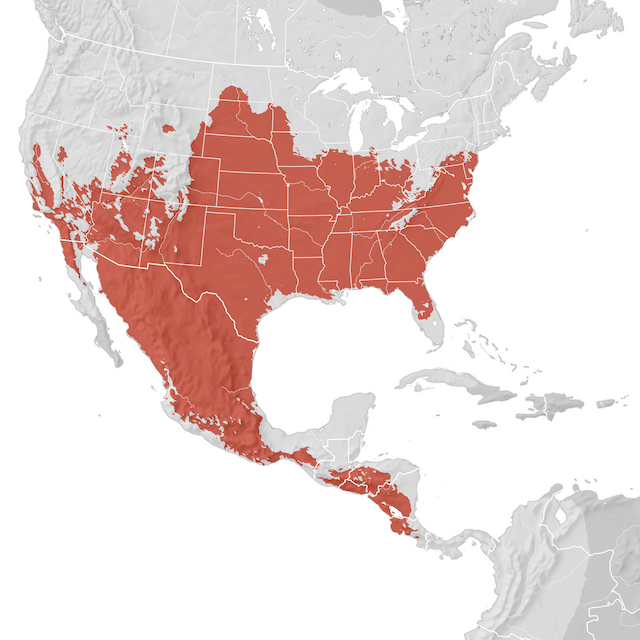 Range Map