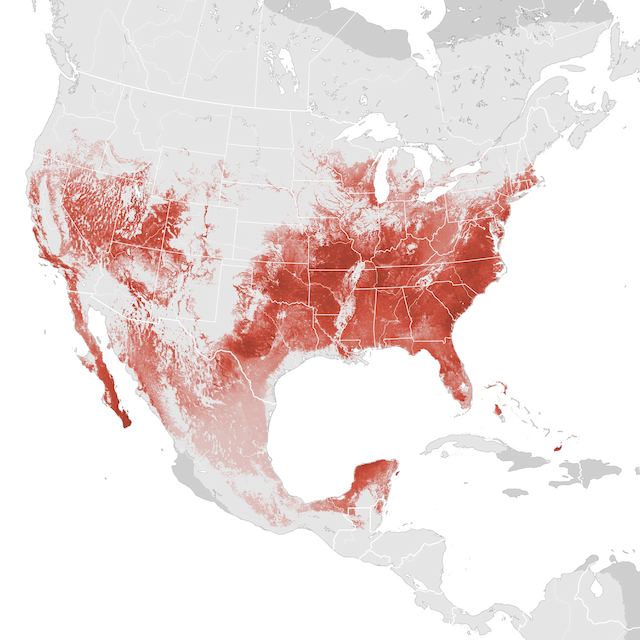 Abundance Map