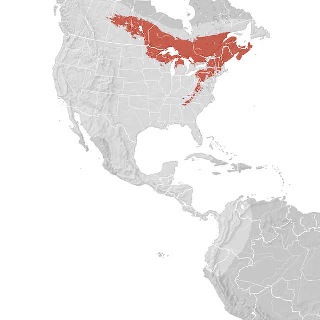 Mapa de Distribuição