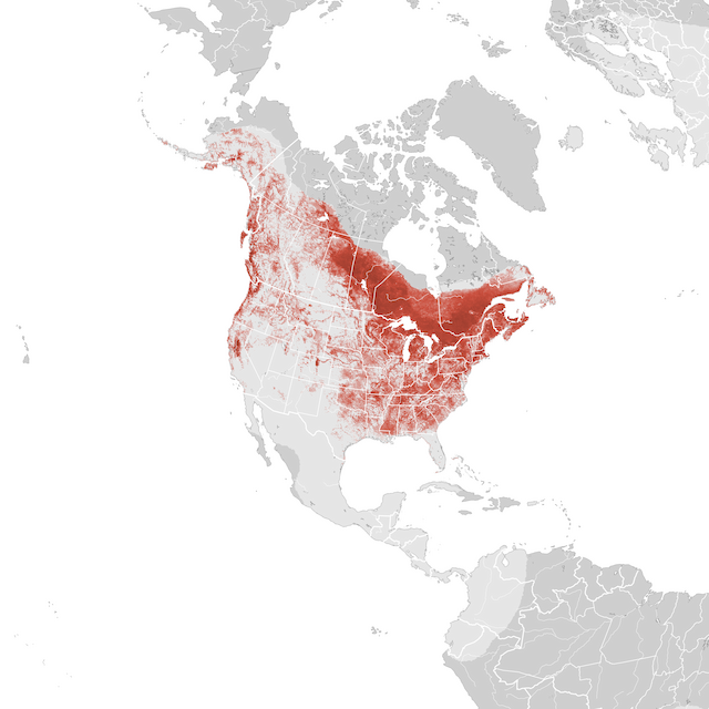 Abundance Map