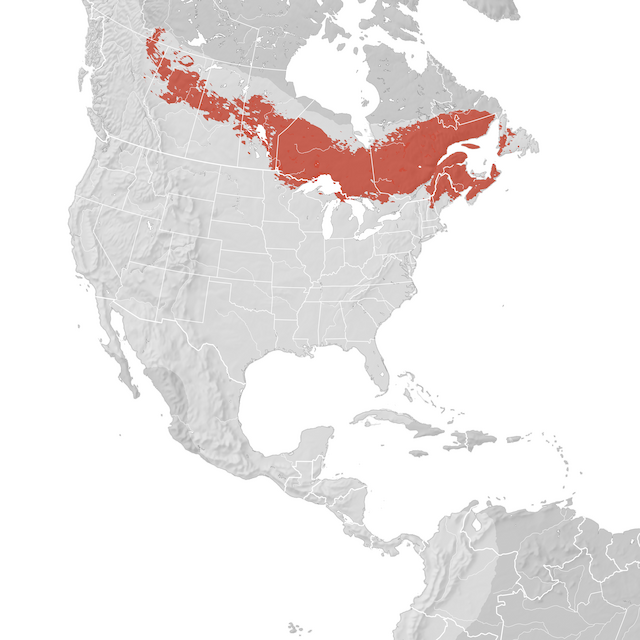 Mappa di distribuzione