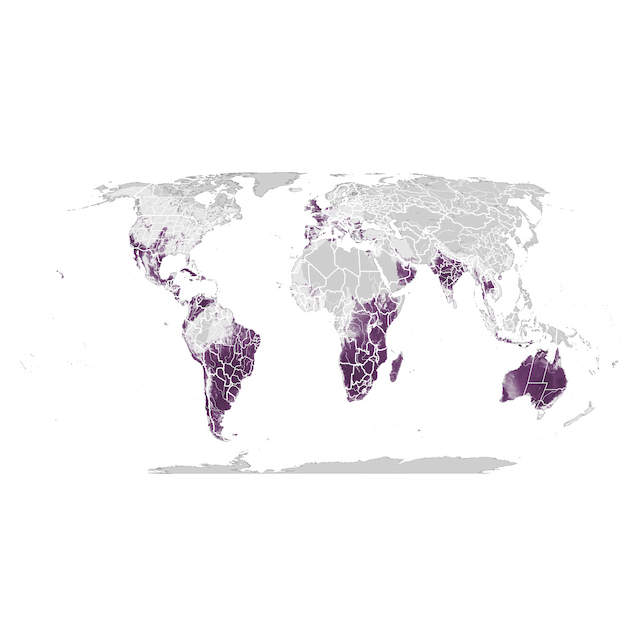 Mapa de abundancia