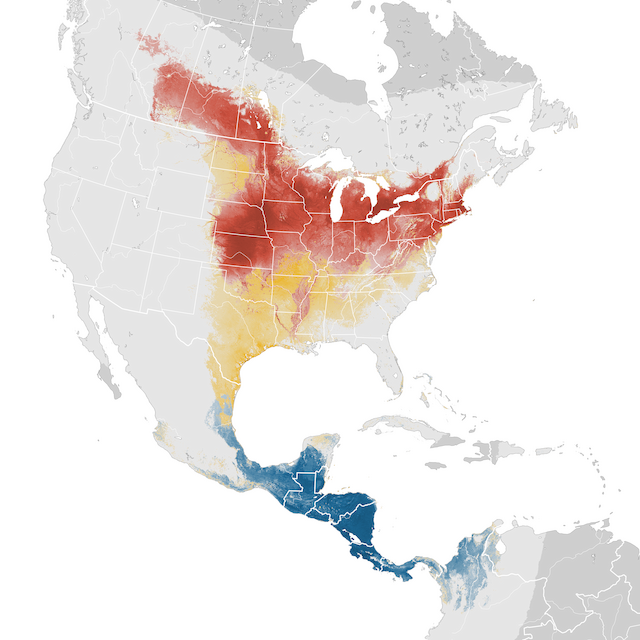 Abundance Map