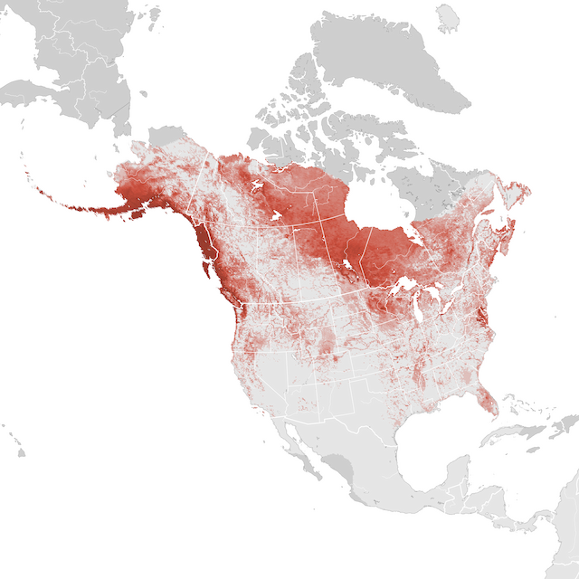 Mapa de abundancia