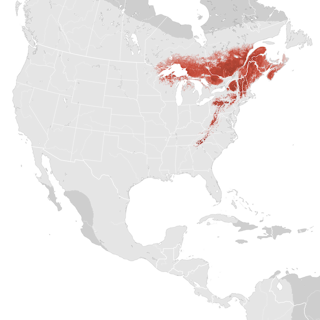 Mapa de Abundância