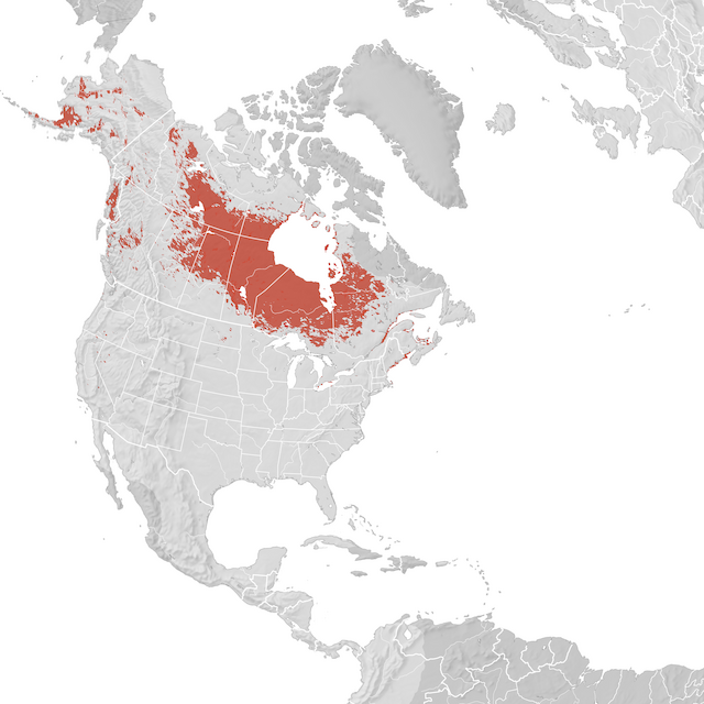 Mappa di distribuzione