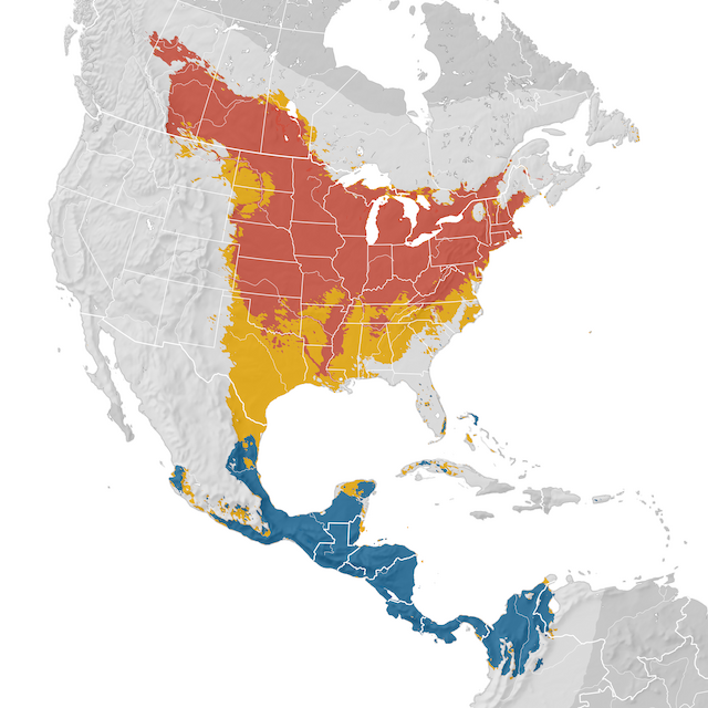 Mapa de Distribuição