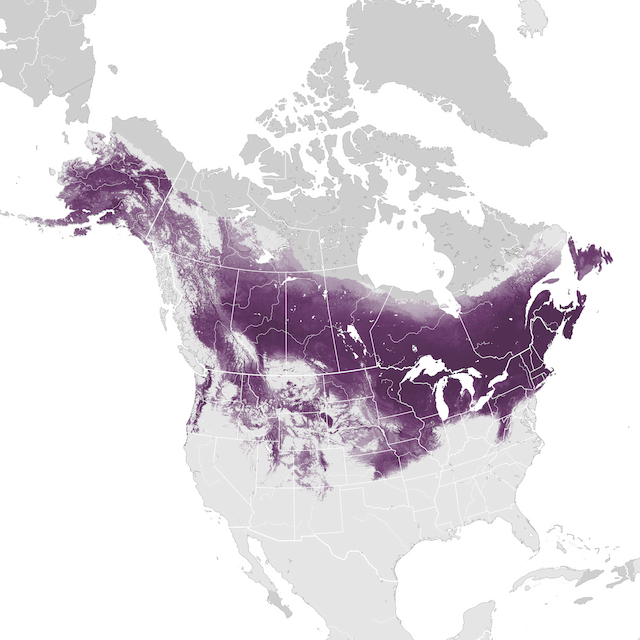 Abundance Map