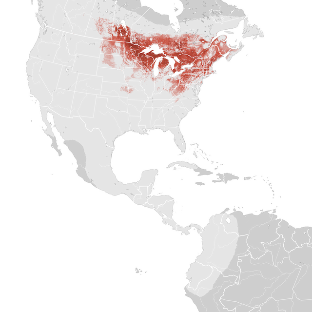 Mapa de abundâcia