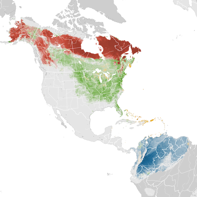 Abundance Map