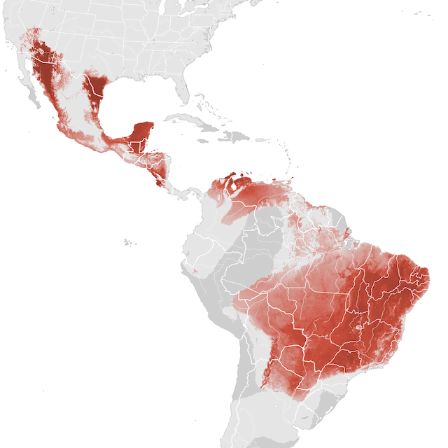 Mapa de abundâcia