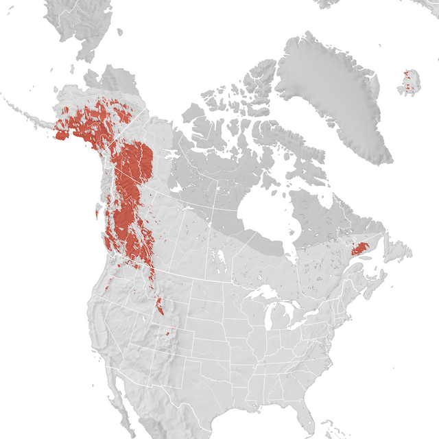 Carte de distribution