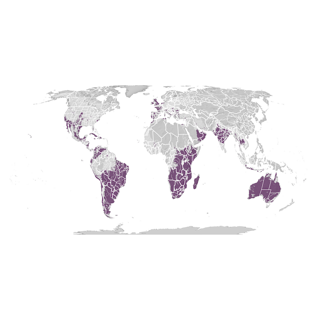 Mapa de Distribuição