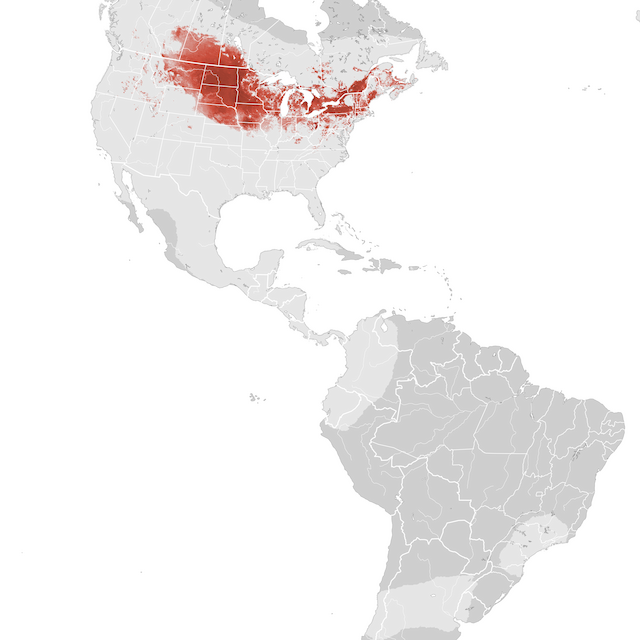 Abundance Map