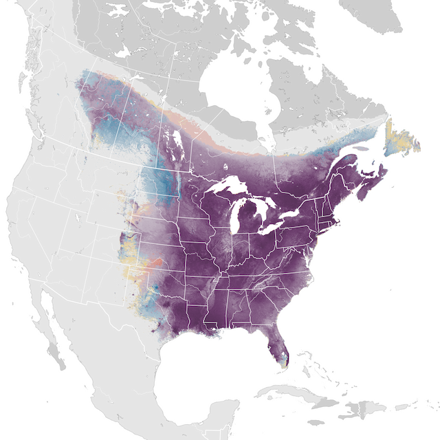 Abundance Map