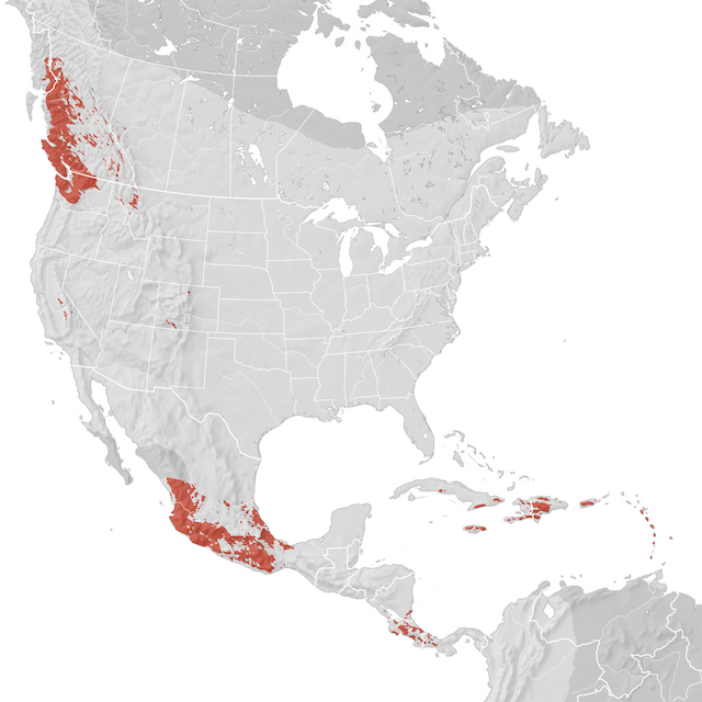 Mappa di distribuzione