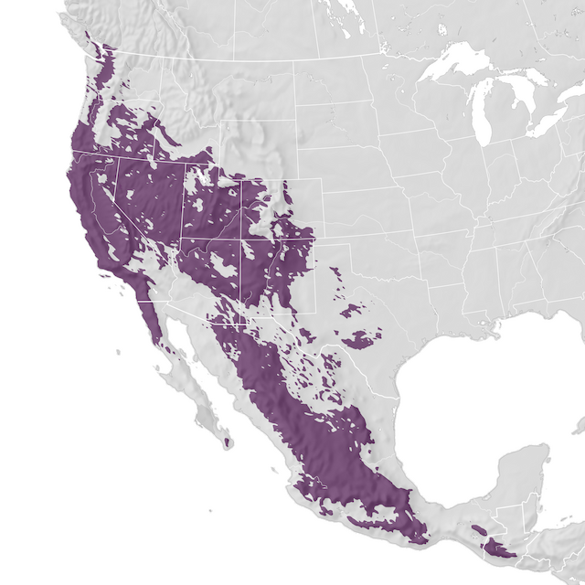 Range Map