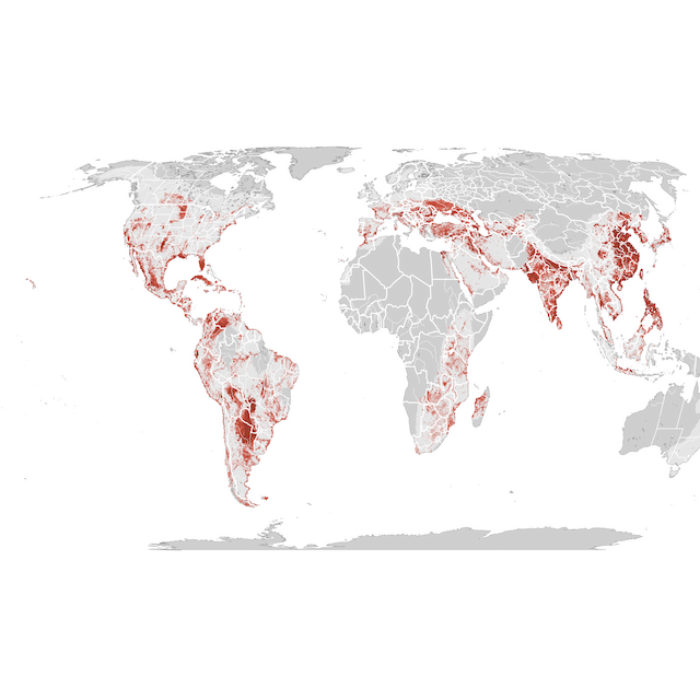 Abundance Map