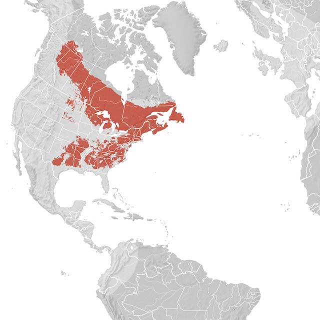 Carte de distribution