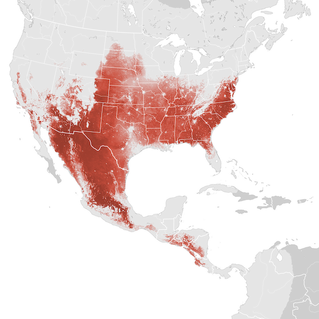 Abundance Map