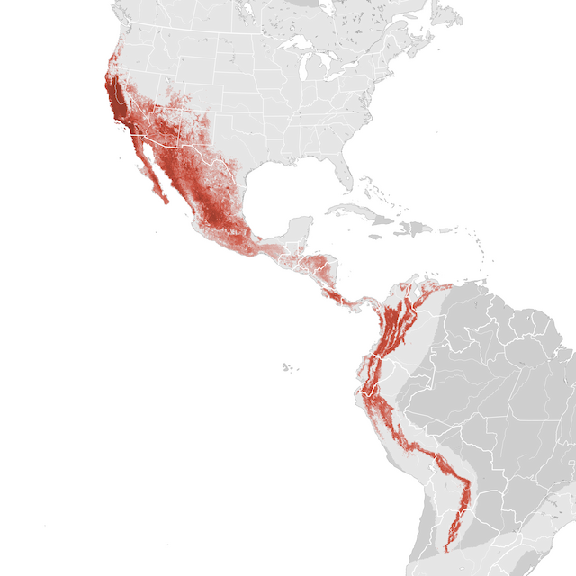 Mapa de abundancia