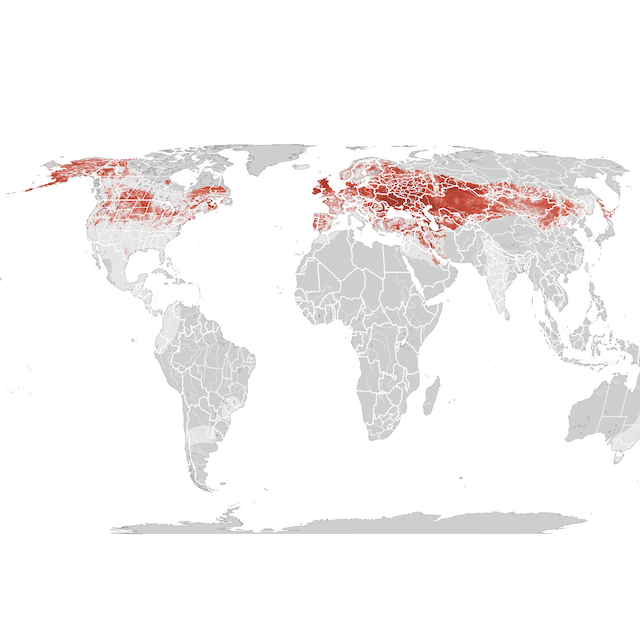 Mapa de abundancia