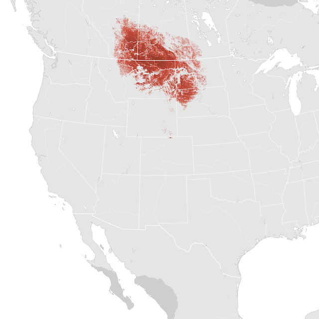 Mapa de abundancia