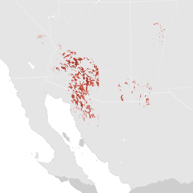 Mapa de abundancia