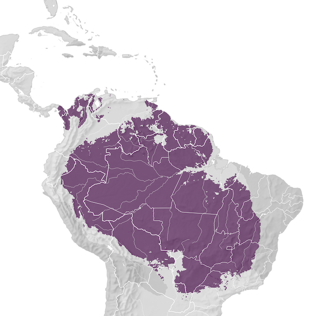 Mapa de Distribuição