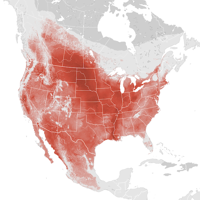 Abundance Map