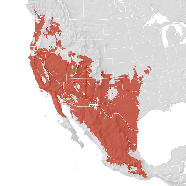 Mapa de rango