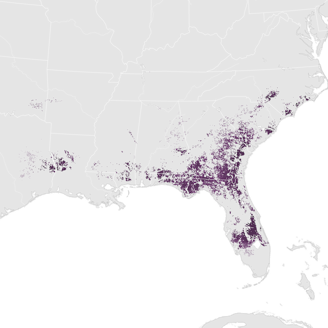 Abundance Map