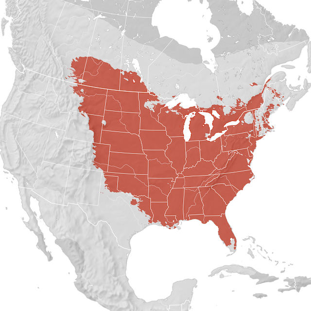 Range Map