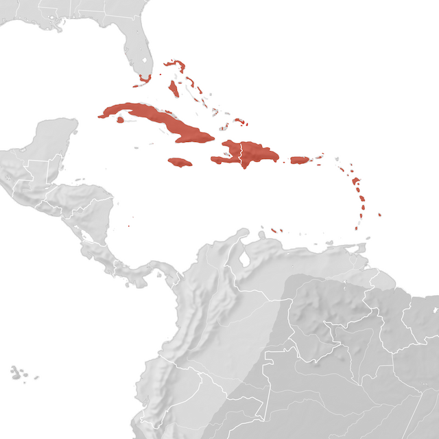 Mapa de Distribuição