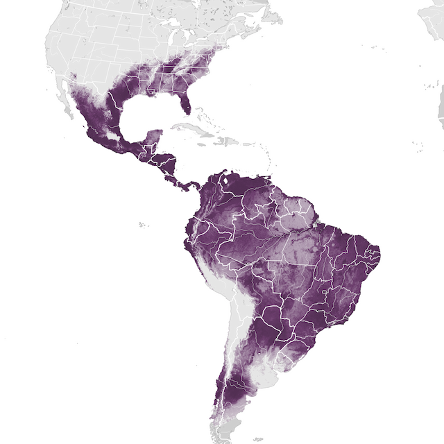 Mapa de Abundância