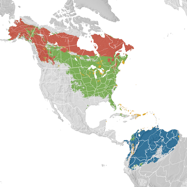 Mapa de Distribuição