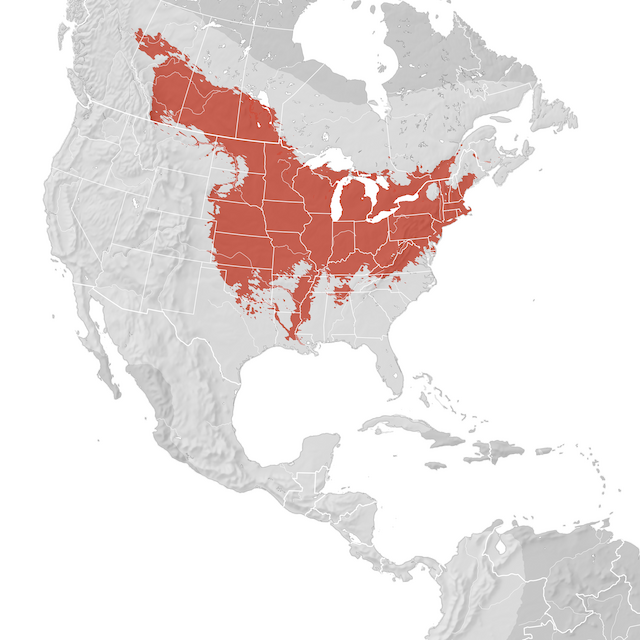 Mappa di distribuzione