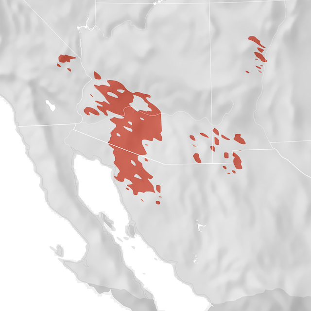 Banaketa-mapa