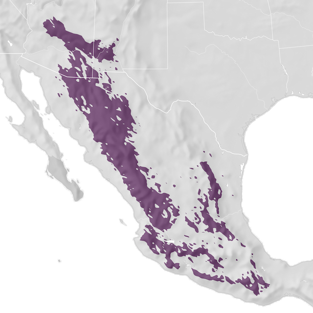 Range Map