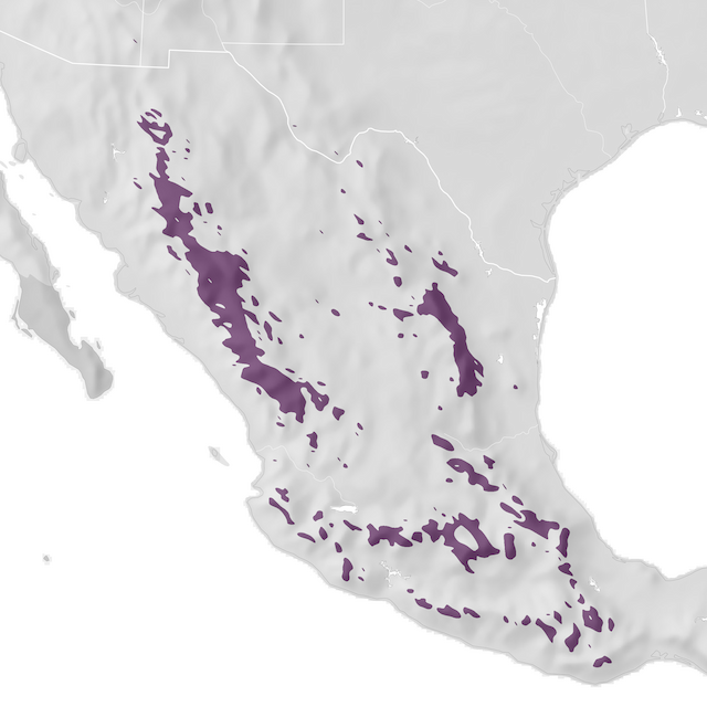 Range Map