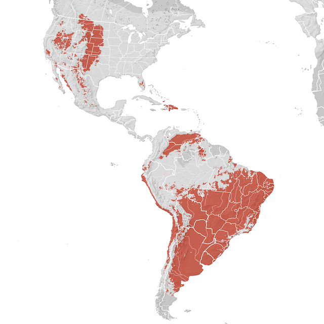 Mappa di distribuzione