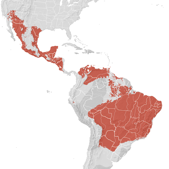 Mapa de distribuição