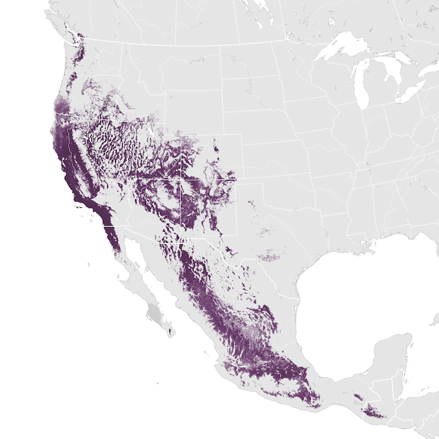 Abundance Map