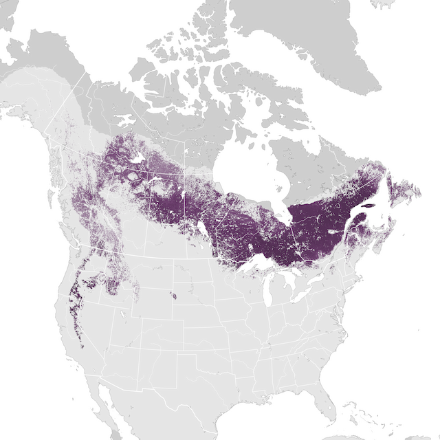 Abundance Map