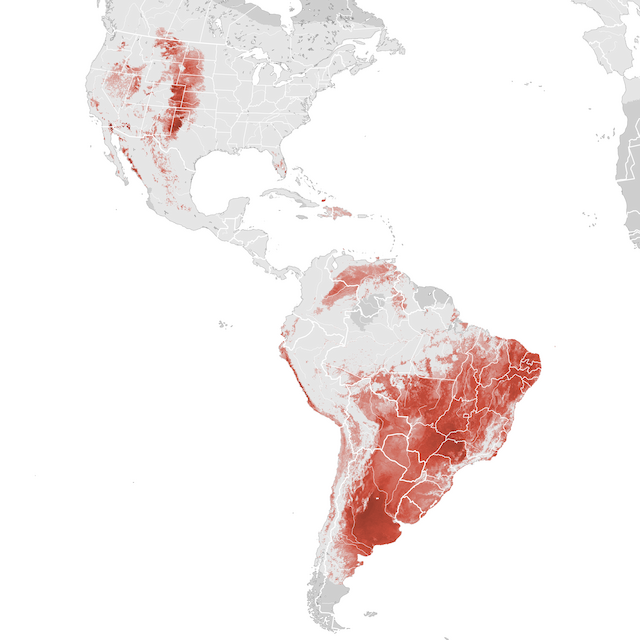 Mapa de Abundância