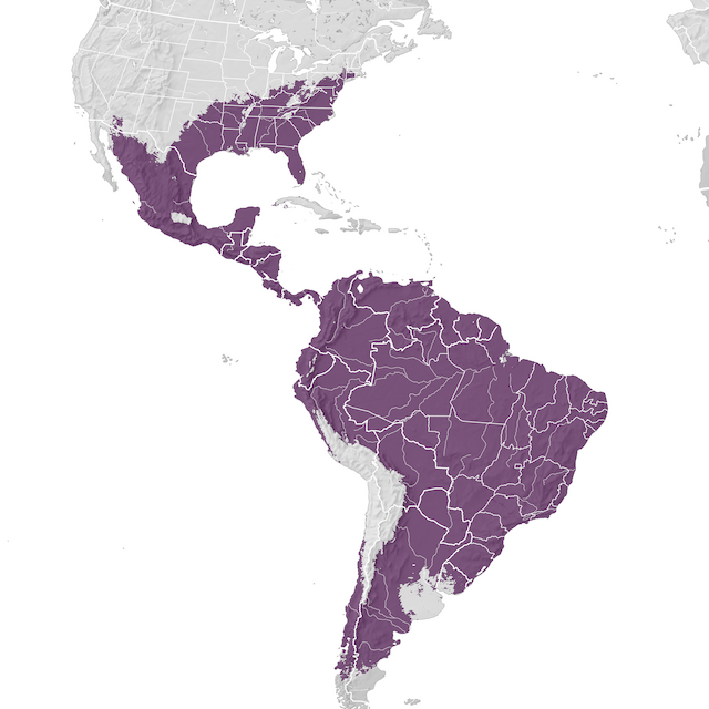 Mappa di distribuzione