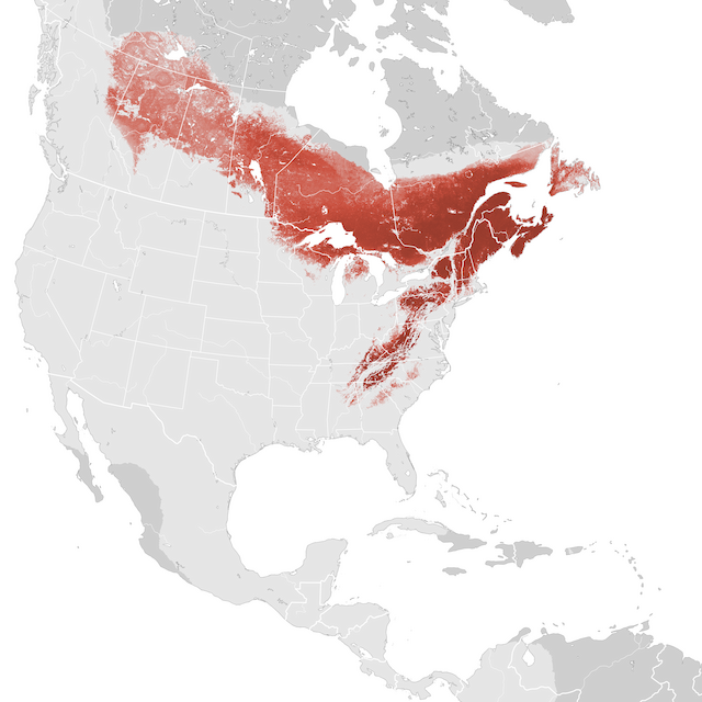 Abundance Map