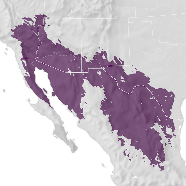 Mappa di distribuzione